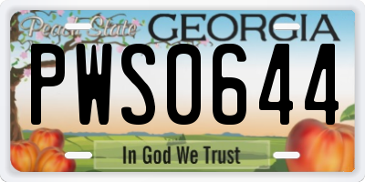 GA license plate PWS0644