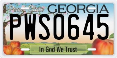 GA license plate PWS0645