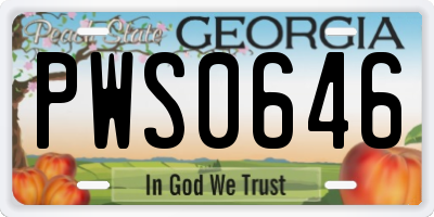 GA license plate PWS0646