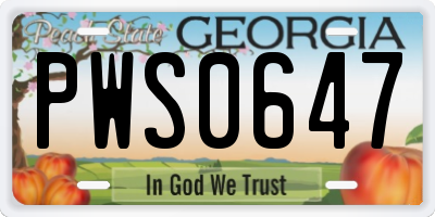 GA license plate PWS0647