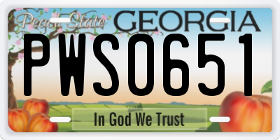 GA license plate PWS0651
