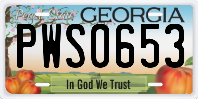 GA license plate PWS0653