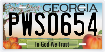 GA license plate PWS0654