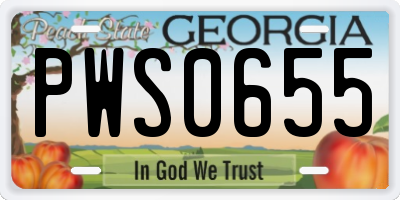 GA license plate PWS0655