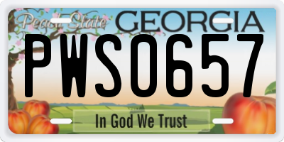 GA license plate PWS0657