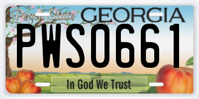 GA license plate PWS0661