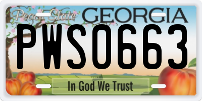 GA license plate PWS0663
