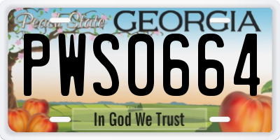 GA license plate PWS0664