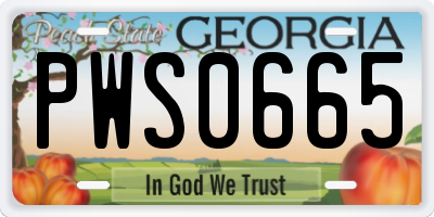 GA license plate PWS0665