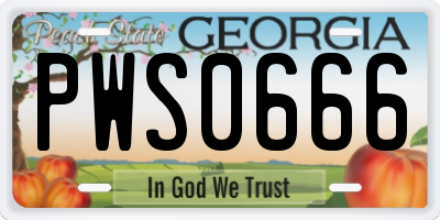 GA license plate PWS0666