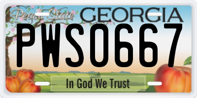 GA license plate PWS0667
