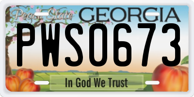 GA license plate PWS0673