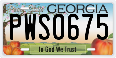 GA license plate PWS0675