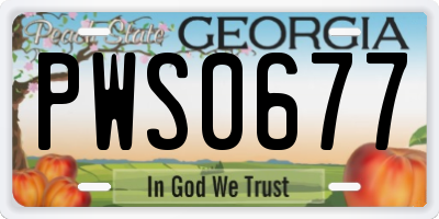 GA license plate PWS0677