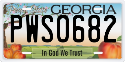 GA license plate PWS0682