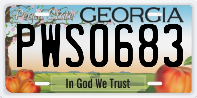 GA license plate PWS0683