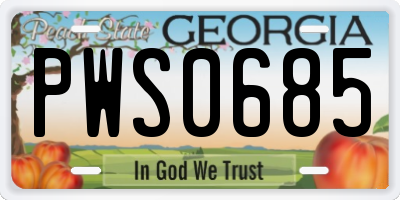 GA license plate PWS0685