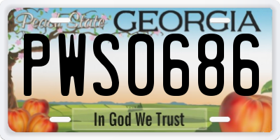 GA license plate PWS0686