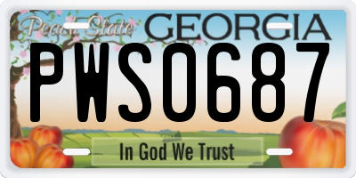 GA license plate PWS0687