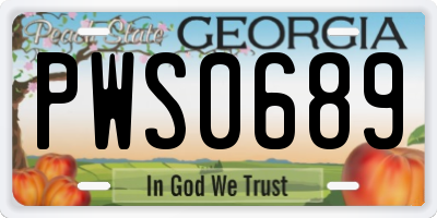 GA license plate PWS0689