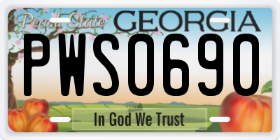 GA license plate PWS0690