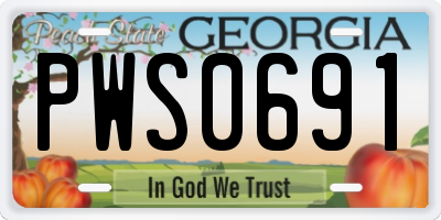GA license plate PWS0691