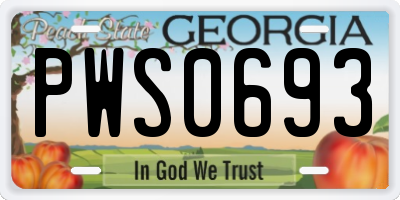 GA license plate PWS0693