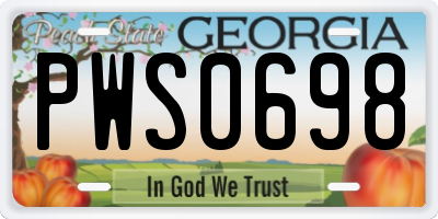 GA license plate PWS0698