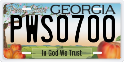 GA license plate PWS0700