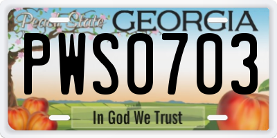 GA license plate PWS0703