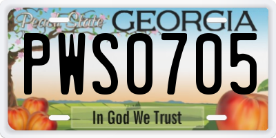 GA license plate PWS0705