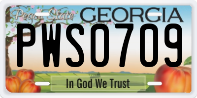 GA license plate PWS0709