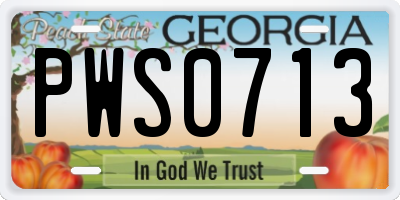 GA license plate PWS0713
