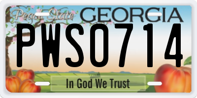 GA license plate PWS0714
