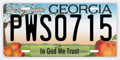GA license plate PWS0715