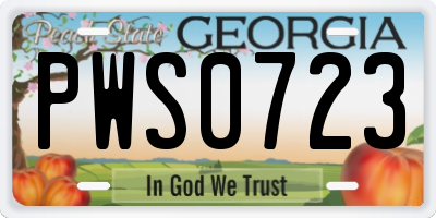 GA license plate PWS0723