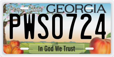 GA license plate PWS0724