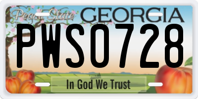 GA license plate PWS0728
