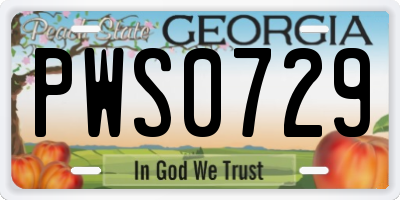 GA license plate PWS0729