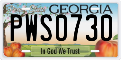 GA license plate PWS0730