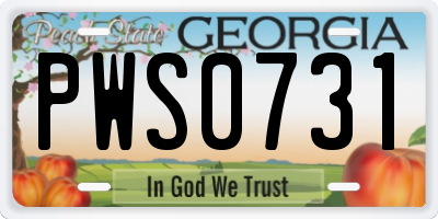 GA license plate PWS0731