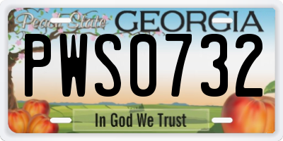 GA license plate PWS0732