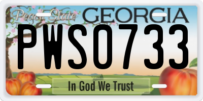 GA license plate PWS0733