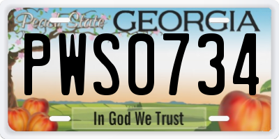 GA license plate PWS0734