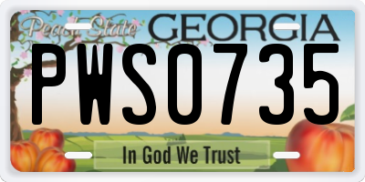 GA license plate PWS0735