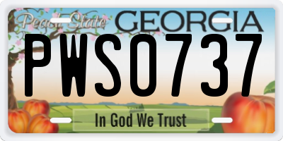 GA license plate PWS0737
