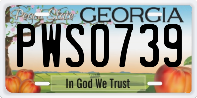 GA license plate PWS0739