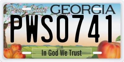 GA license plate PWS0741