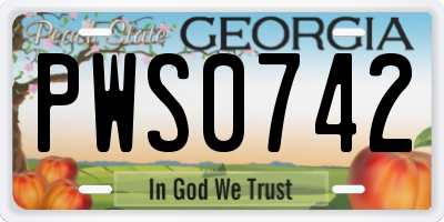 GA license plate PWS0742