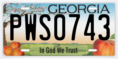 GA license plate PWS0743